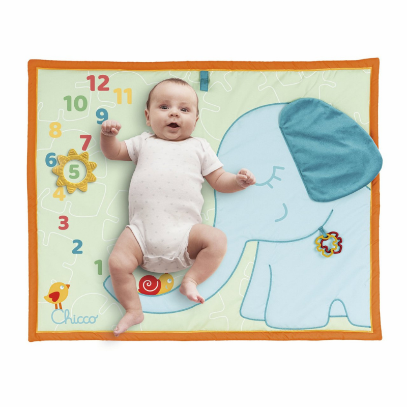 Tapete Fotografias Meses